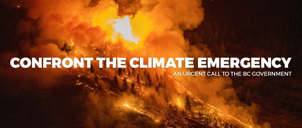 Confront-the-climate-emergency