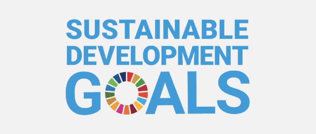 THE - social impact website - What are the SDGs - 1200x630